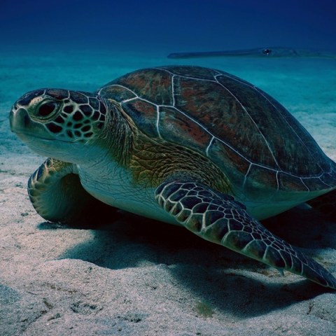 ciprus-program-gyerekkel