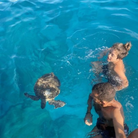 privat-hajokirandulas-ciprus