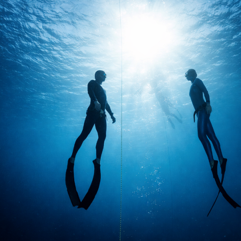 szabadtudos-buvar-program-halado